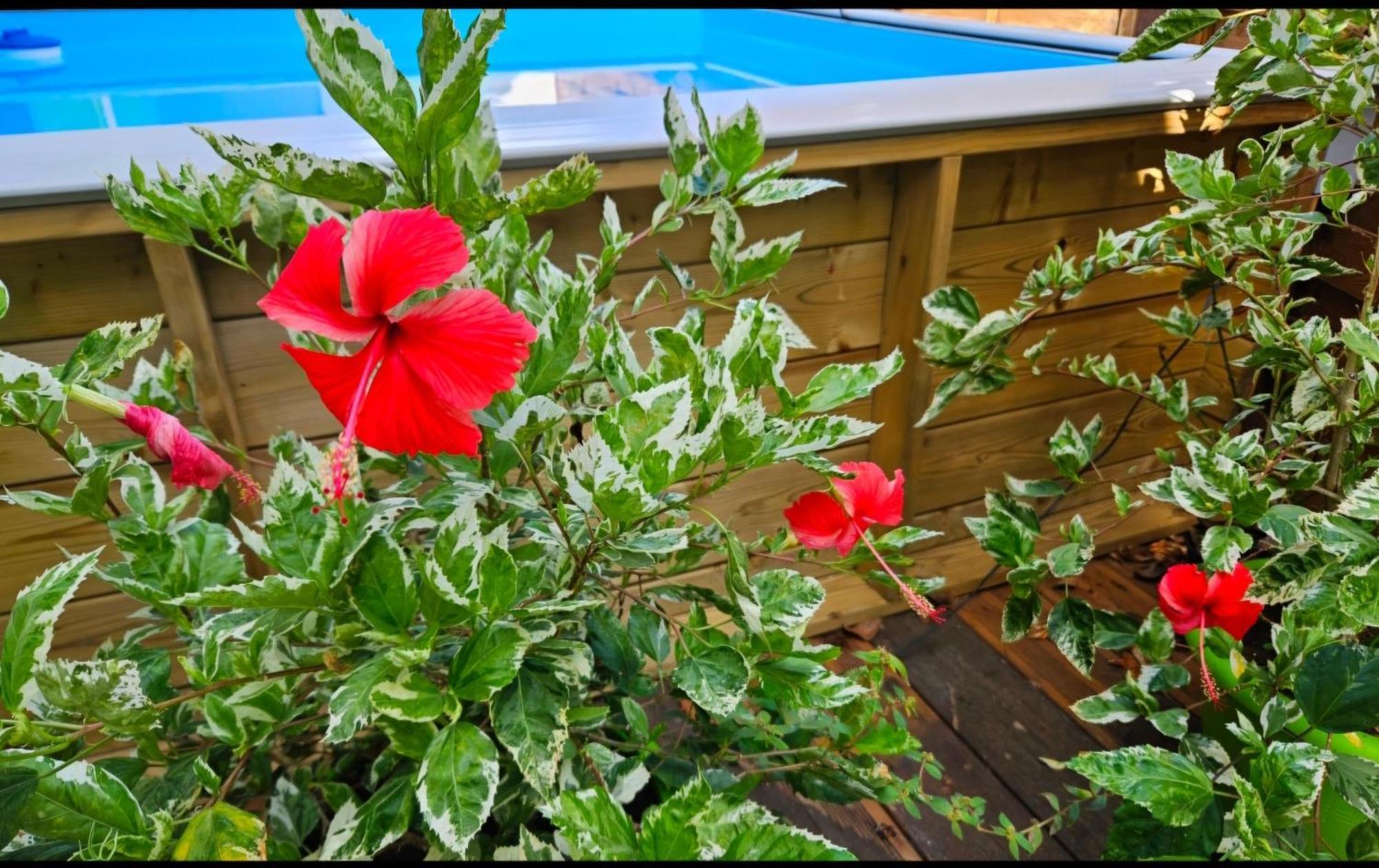 Gite Rubis Passion Port-Louis Exterior foto