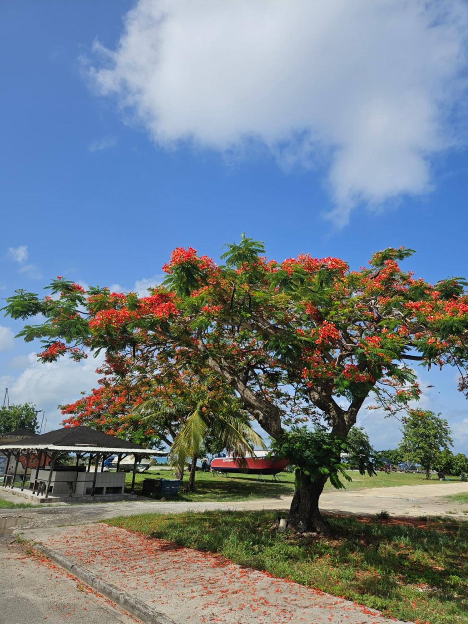 Gite Rubis Passion Port-Louis Exterior foto
